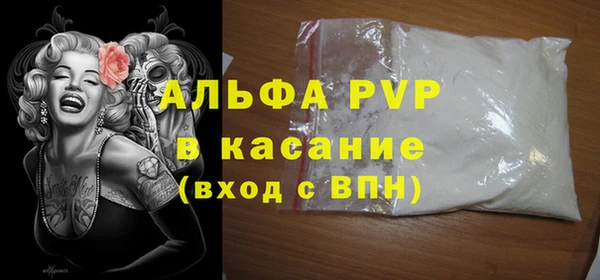 PSILOCYBIN Белокуриха