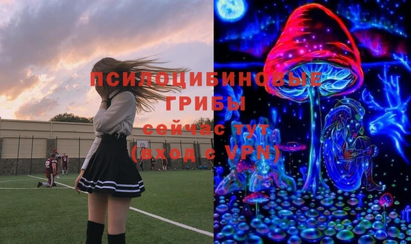 гашик Балабаново