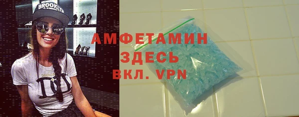 PSILOCYBIN Белокуриха