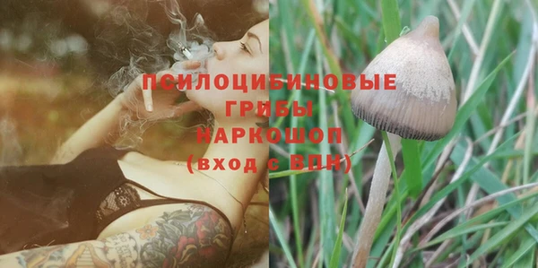 PSILOCYBIN Белокуриха